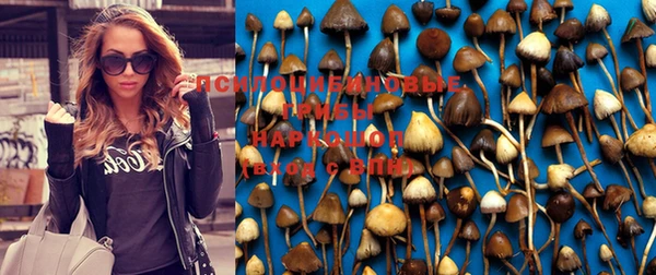 не бодяженный Балабаново