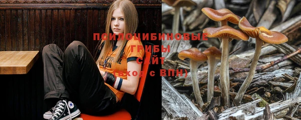 mdpv Надым