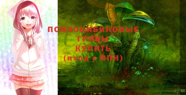 прущие грибы Баксан