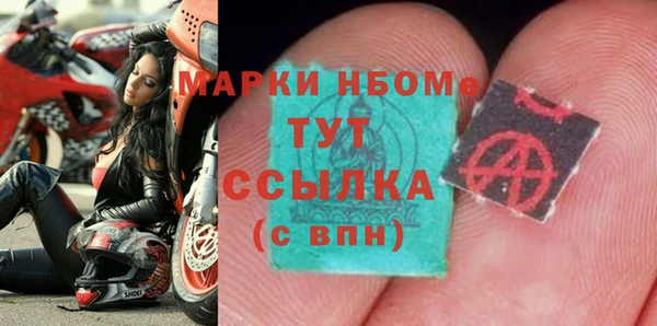 прущие грибы Баксан