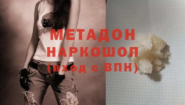 прущие грибы Баксан