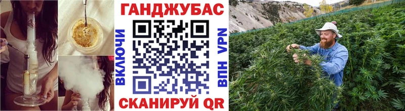 Каннабис индика  Соль-Илецк 